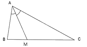 Giải bài 9 trang 59 SGK Toán 8 tập 2– Chân trời sáng tạo 2