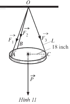 Giải bài 9 trang 61 sách bài tập toán 12 - Cánh diều 1