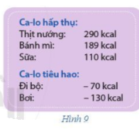 Giải Bài 9 trang 75 SGK Toán 6 Cánh Diều Tập 1 1
