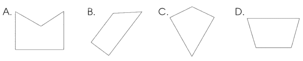 Giải bài 91: Ôn tập chung trang 127, 128, 129, 120 vở bài tập Toán 5 - Cánh diều 0 2