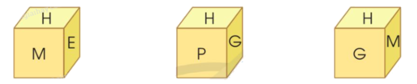 Giải bài 91: Ôn tập chung trang 127, 128, 129, 120 vở bài tập Toán 5 - Cánh diều 3