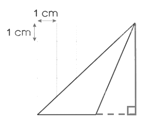 Giải bài Bài 51: Diện tích hình tam giác trang 7, 8 vở bài tập Toán 5 - Cánh diều 4
