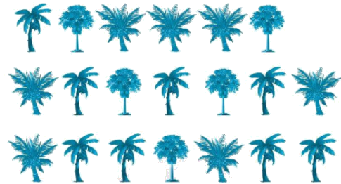 Giải bài: Biểu đồ tranh (trang 105) Vở bài tập toán 2 - Chân trời sáng tạo 1 1