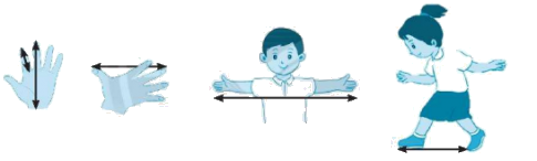 Giải bài: Đề-xi-mét (trang 33) Vở bài tập toán 2 - Chân trời sáng tạo 2