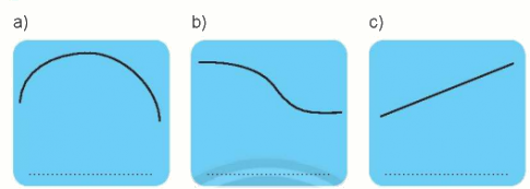 Giải bài: Đường thẳng, đường cong (trang 53) Vở bài tập toán 2 - Chân trời sáng tạo 1