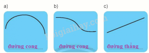 Giải bài: Đường thẳng, đường cong (trang 53) Vở bài tập toán 2 - Chân trời sáng tạo 2