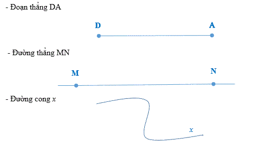 Giải bài: Đường thẳng, đường cong (trang 53) Vở bài tập toán 2 - Chân trời sáng tạo 5