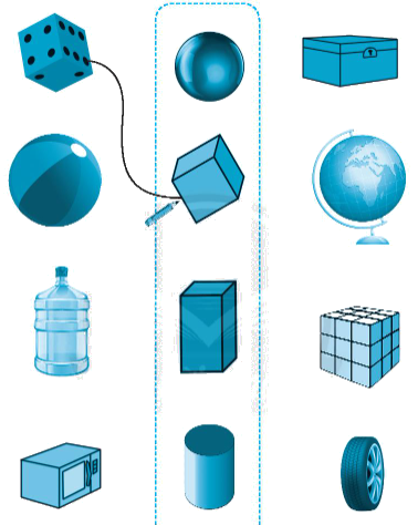 Giải bài: Khối trụ - khối cầu VBT Toán 2 - Chân trời sáng tạo 2 1