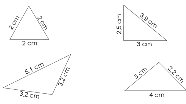 Giải Bài kiểm tra số 3 trang 63, 64, 65, 66 vở bài tập Toán 5 - Cánh diều 2