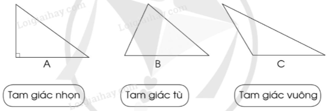 Giải Bài kiểm tra số 4 trang 124, 125, 126 vở bài tập Toán 5 - Cánh diều 1 1