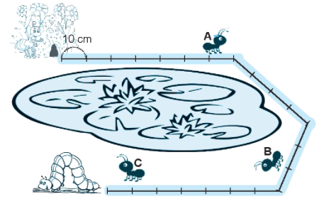 Giải bài: Mét VBT Toán 2 - Chân trời sáng tạo 1