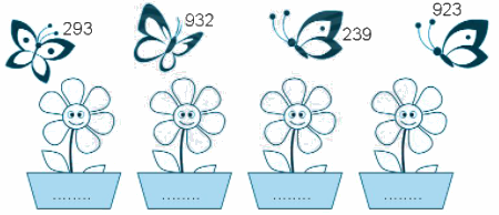 Giải bài: Ôn tập các số trong phạm vi 1000 trang 107 VBT toán 2 - Chân trời sáng tạo 4