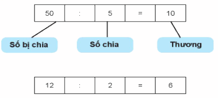 Giải bài: Ôn tập phép nhân và phép chia (trang 115) Vở bài tập toán 2 - Chân trời sáng tạo 2 1