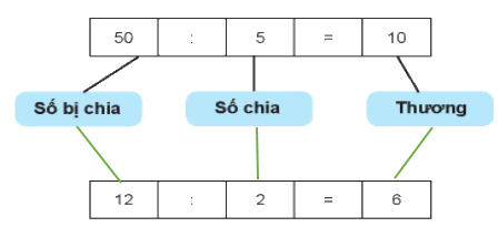 Giải bài: Ôn tập phép nhân và phép chia (trang 115) Vở bài tập toán 2 - Chân trời sáng tạo 6