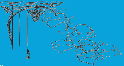 Giải bài: Phép trừ có nhớ trong phạm vi 100 (trang 97) Vở bài tập toán 2 - Chân trời sáng tạo 7