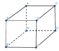 Giải bài tập 1 trang 50 SGK Toán 12 tập 1 - Chân trời sáng tạo 2