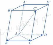 Giải bài tập 1 trang 63 SGK Toán 12 tập 1 - Cánh diều 2
