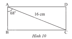 Giải bài tập 1 trang 71 SGK Toán 9 tập 1 - Chân trời sáng tạo 1