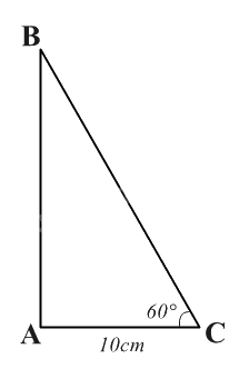 Giải bài tập 1 trang 72 SGK Toán 9 tập 1 - Chân trời sáng tạo 2