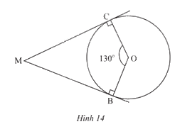 Giải bài tập 1 trang 88 SGK Toán 9 tập 1 - Chân trời sáng tạo 1