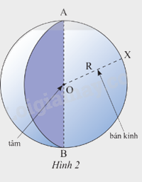 Giải bài tập 1 trang 96 SGK Toán 9 tập 2 - Chân trời sáng tạo 3