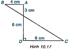 Giải bài tập 10.6 trang 100 SGK Toán 9 tập 2 - Kết nối tri thức 1