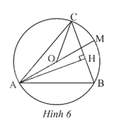 Giải bài tập 10 trang 82 SGK Toán 9 tập 2 - Chân trời sáng tạo 1
