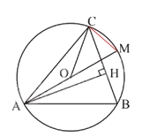 Giải bài tập 10 trang 82 SGK Toán 9 tập 2 - Chân trời sáng tạo 3