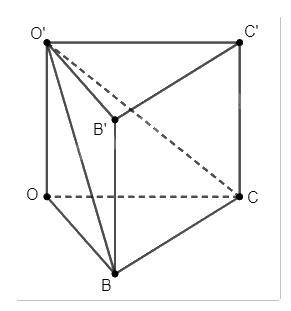 Giải bài tập 12 trang 60 SGK Toán 12 tập 2 - Chân trời sáng tạo 2