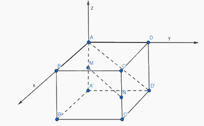 Giải bài tập 12 trang 83 SGK Toán 12 tập 1 - Cánh diều 2