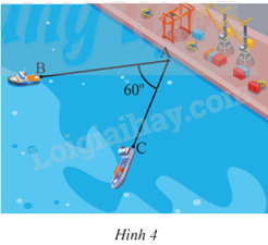Giải bài tập 16 trang 73 SGK Toán 9 tập 1 - Chân trời sáng tạo 1