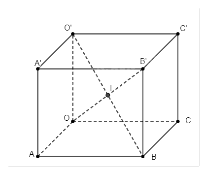 Giải bài tập 17 trang 67 SGK Toán 12 tập 2 - Chân trời sáng tạo 2