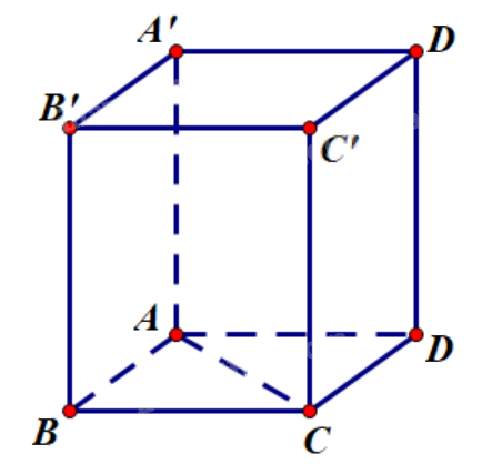 Giải bài tập 2.10 trang 59 SGK Toán 12 tập 1 - Kết nối tri thức 2