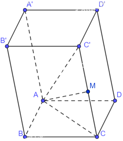 Giải bài tập 2.26 trang 73 SGK Toán 12 tập 1 - Kết nối tri thức 2