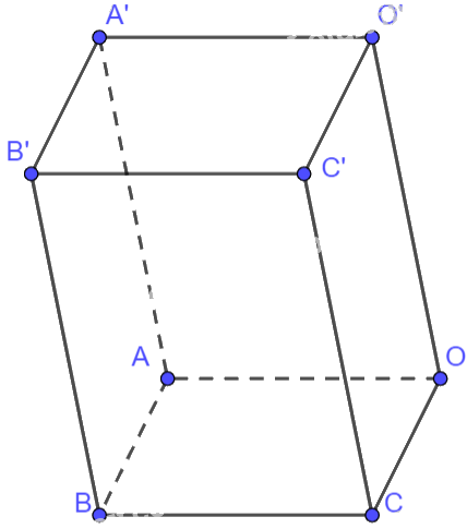 Giải bài tập 2.39 trang 74 SGK Toán 12 tập 1 - Kết nối tri thức 2
