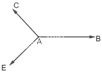 Giải bài tập 2.9 trang 59 SGK Toán 12 tập 1 - Kết nối tri thức 3