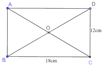 Giải bài tập 2 trang 82 SGK Toán 9 tập 1 - Chân trời sáng tạo 2