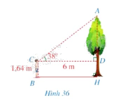 Giải bài tập 2 trang 91 SGK Toán 9 tập 1 - Cánh diều 1