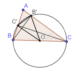 Giải bài tập 3 trang 82 SGK Toán 9 tập 1 - Chân trời sáng tạo 2