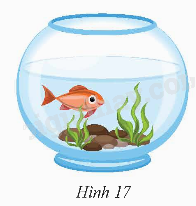 Giải bài tập 3 trang 97 SGK Toán 9 tập 2 - Chân trời sáng tạo 1