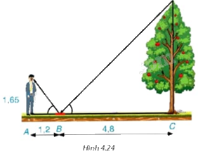 Giải bài tập 4.13 trang 78 SGK Toán 9 tập 1 - Kết nối tri thức 1