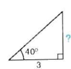 Giải bài tập 4.17 trang 80 SGK Toán 9 tập 1 - Kết nối tri thức 3