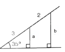 Giải bài tập 4.17 trang 80 SGK Toán 9 tập 1 - Kết nối tri thức 6