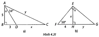 Giải bài tập 4.17 trang 88 SGK Toán 9 tập 1 - Cùng khám phá 1