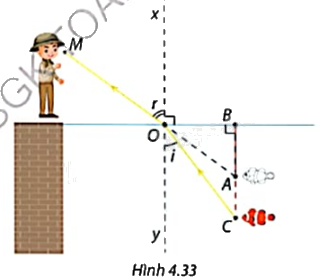 Giải bài tập 4.19 trang 89 SGK Toán 9 tập 1 - Cùng khám phá 1