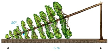 Giải bài tập 4.28 trang 82 SGK Toán 9 tập 1 - Kết nối tri thức 1