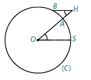 Giải bài tập 4.30 trang 82 SGK Toán 9 tập 1 - Kết nối tri thức 3