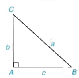 Giải bài tập 4.8 trang 78 SGK Toán 9 tập 1 - Kết nối tri thức 2