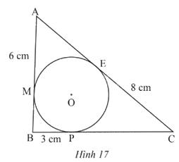Giải bài tập 4 trang 89 SGK Toán 9 tập 1 - Chân trời sáng tạo 1
