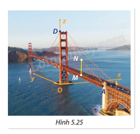 Giải bài tập 5.23 trang 65 SGK Toán 12 tập 2 - Cùng khám phá 1